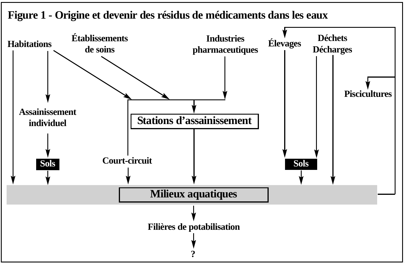 Origine et devenir des résidus de médicaments dans les eaux